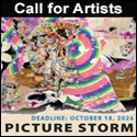 Picture Storm: A Call for Works About Image Overload